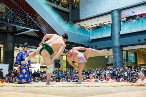 嘉風、琴奨菊らが登場！相撲イベント「うめきた場所in グランフロント大阪」開催