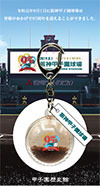 令和を迎える高校野球特集「夏の高校野球特別展2019」開催…甲子園歴史館