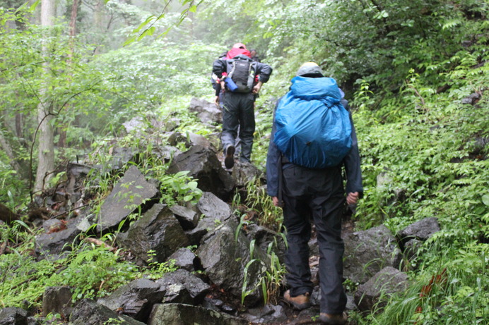 2年前の男体山の写真、その3。雨の中、登山道を進む。雨量は凄かったのだが、登りの一般コースでは木々の葉が雨を遮ってくれた。雨に濡れた緑が美しい。