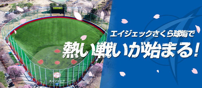 8チームが参加！女子硬式野球交流戦「栃木さくらカップ」開催