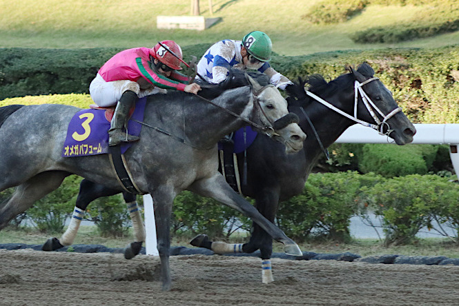 【競馬】ダートの祭典・JBC競走を分析。藤田菜七子に追い風となるデータとは？