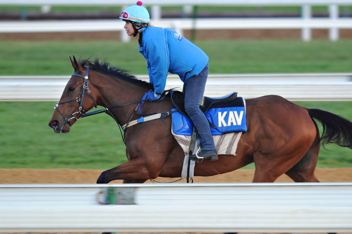 【競馬】アルゼンチン共和国杯　有力馬の追い切りジャッジ＆追い切りから狙える穴馬プラスワン！