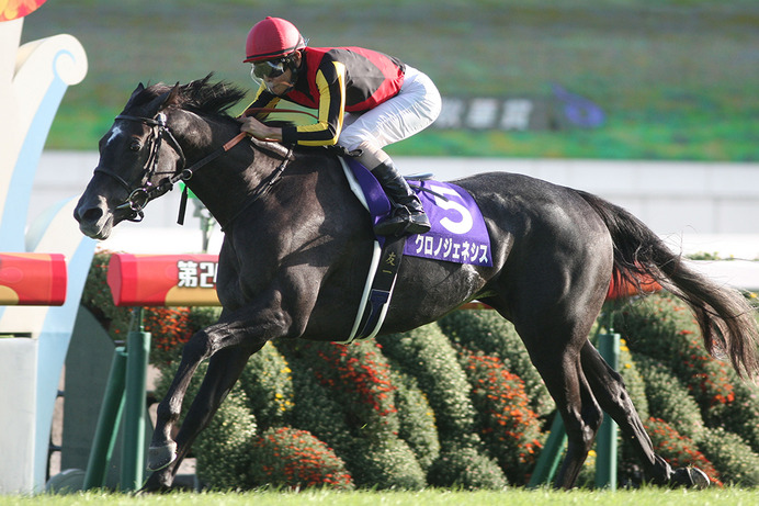 【競馬】天皇賞・秋　有力馬の追い切りジャッジ＆追い切りから狙える穴馬プラスワン！