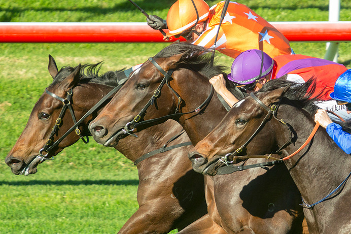 【競馬】朝日杯FS　レッドベルオーブにデータ面で死角なし　穴候補では意外な伏兵が「波乱演出」に虎視眈々