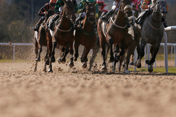 【競馬】2021年最初の中央GI、フェブラリーSの特別登録が発表　オーヴェルニュやレッドルゼルなど