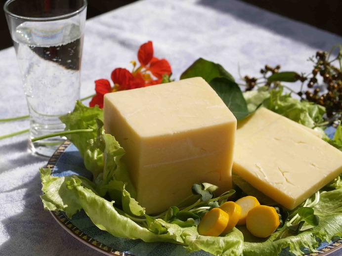 暮らしに役立つ食の知識を学ぼう「食のセミナーin東京」開催