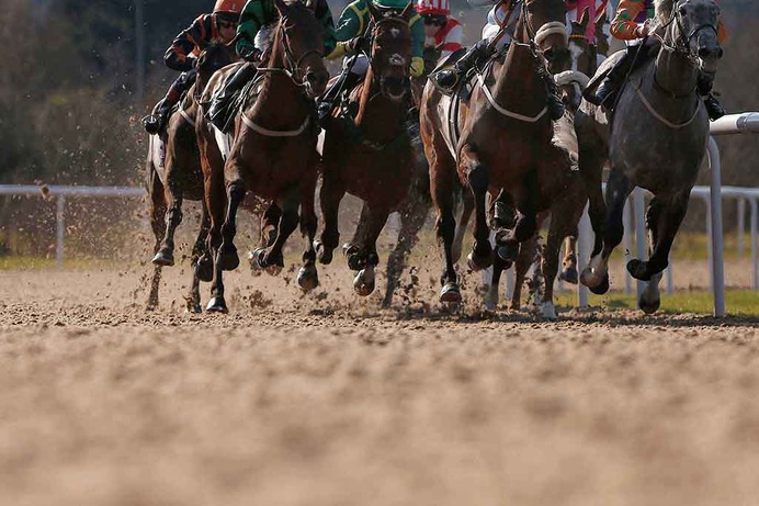 【フェブラリーS／馬場情報】ダートは水分含む「稍重」　1分34秒台の高速決着か