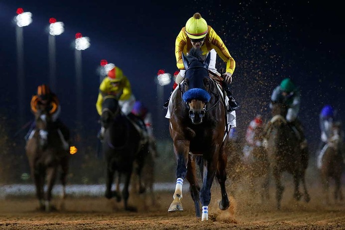 【サウジカップデー】日本馬の悲願達成なるか　サウジCはチャンピオンズC覇者ジュンライトボルトが3人気