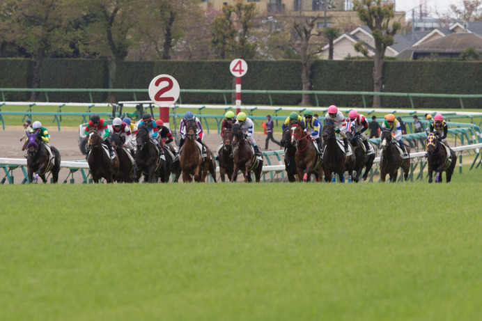 【キーンランドC／前日傾向】芝は末脚活きる「外差し馬場」　パワー豊富なロベルトの血にも注意