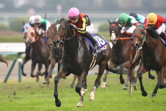 【香港国際競走】血のライバル「神姬・ディヴィーナと吉典娜・ジェラルディーナ」　異国の地で勝利目指す同志へ