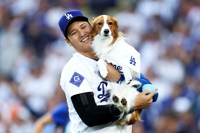 【MLB】大谷翔平の愛犬デコピン、決戦の地へ向かう背番号「17」の球場入りにド軍ファンも奮起「俺たちにはデコイがついている」