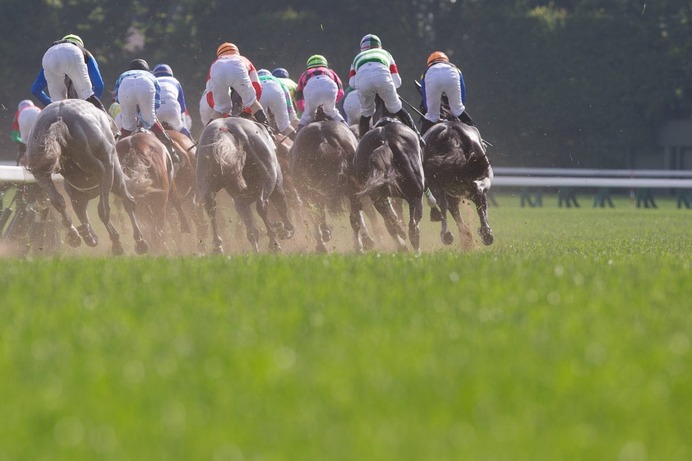 【天皇賞秋／馬場情報】「A→B」コース替わりの東京芝　ボーダーライン“上がり33秒台”実績馬の人気薄が妙味