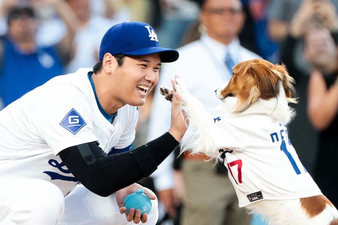 【MLB】大谷翔平が夏を満喫、“プールで遊ぶ”デコピンの姿を公開「大谷さん涼しい写真ありがとう！」「かわいすぎだろ」