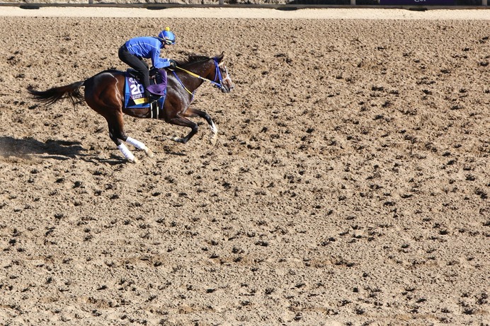 【チャンピオンズC／穴ライズ】前日“10人気”前後に「元サヤ効果」で復調気配あり　人気暴落の今が買い時
