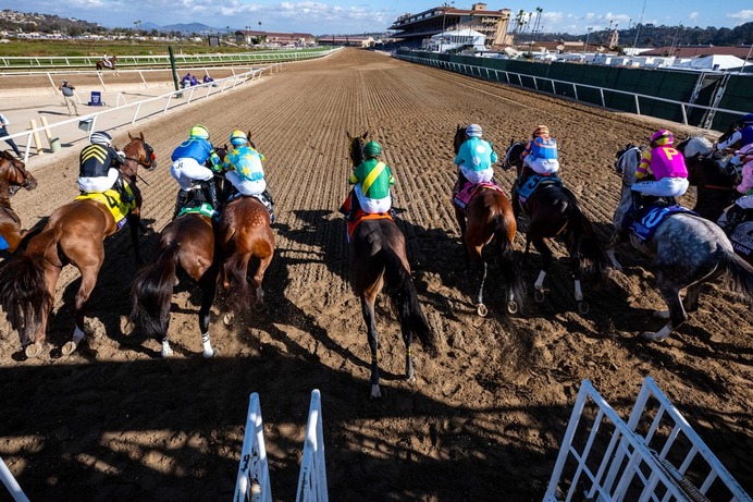 【チャンピオンズC／馬場情報】土曜は8枠好走も“イン突き”がコース攻略　枠と血統で浮上した想定“10人気”の爆穴
