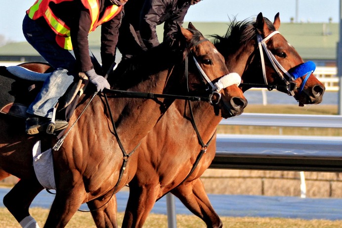【朝日杯FS／追い切り診断】2戦2勝の一角に高評価「A」　完成度高く「パワフルな動き」　ドカンと伸びて“凄み”増す