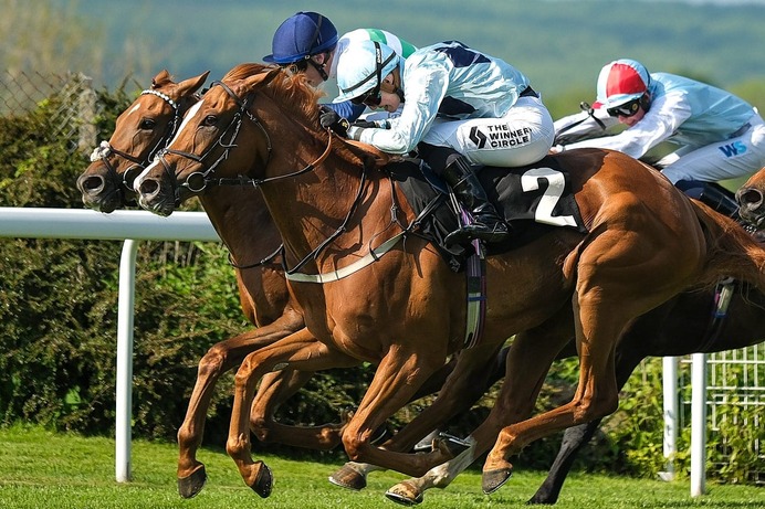 【阪神大賞典／穴ライズ】1人気想定アドマイヤテラと双璧の実績ながら……不当評価の妙味が「走り頃」