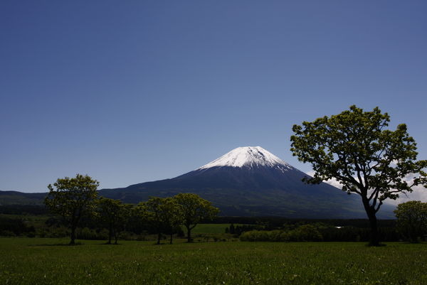 　世界遺産への登録が決まった富士山を一周するサイクリング大会「2013 Mt.FUJIエコサイクリング」が9月7日・8日に開催され、その参加者を募集している。