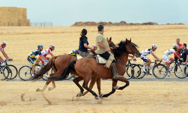 　国内外で開催される自転車レースやイベントなどの日程を掲載した「大会・イベントカレンダー」が最新版に更新されました。海外の主要大会の日程や国内の注目大会も掲載されています。
　各イベントの内容（カテゴリー）、開催日や開催地、募集期間などがひと目で分か