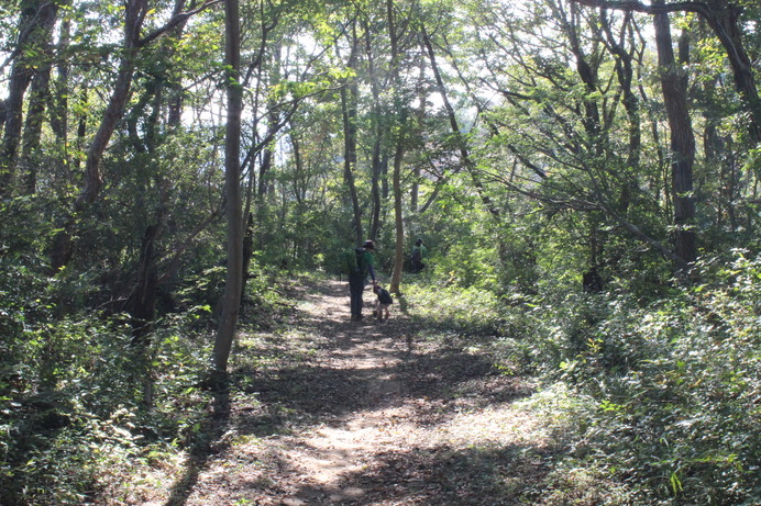 登山道もきちんと整備されていて、歩きやすい。