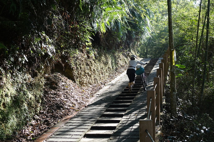 登山道を思わせる趣の月潭自行車道