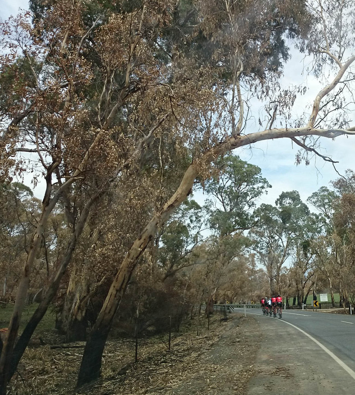 Bushfire Adelaide hills