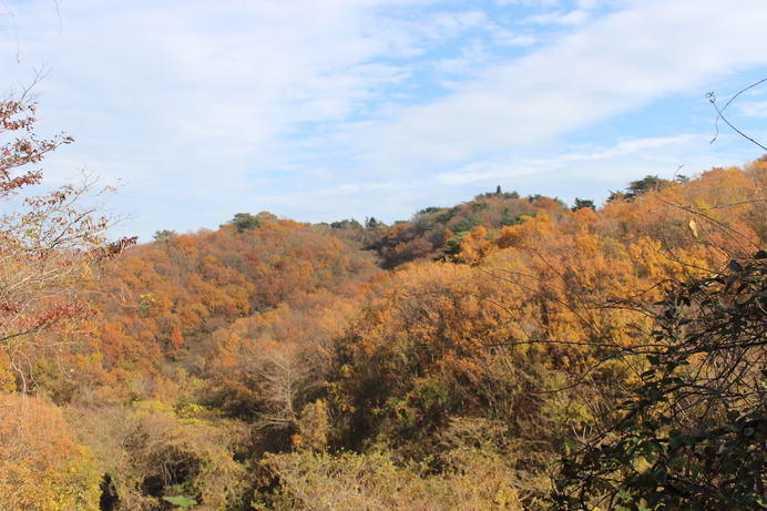 取材日は晩秋であったため、紅葉が綺麗であった。