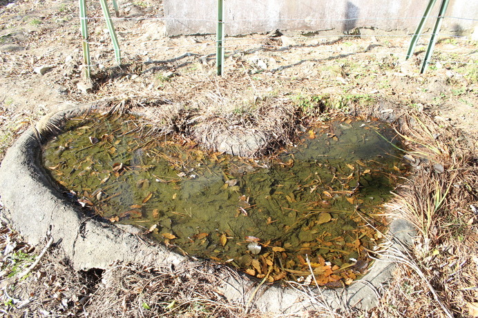 頂上で見つけたハート型の水たまり？　偶然？　それとも？