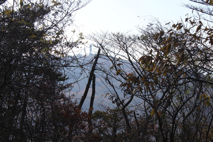 頂上から見た高鈴山。木々の間から目印の雨量観測塔がうっすらと見える。