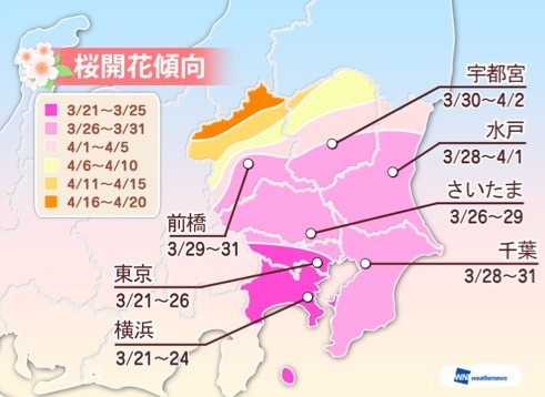 ウェザーニューズが2015年の桜開花傾向を発表