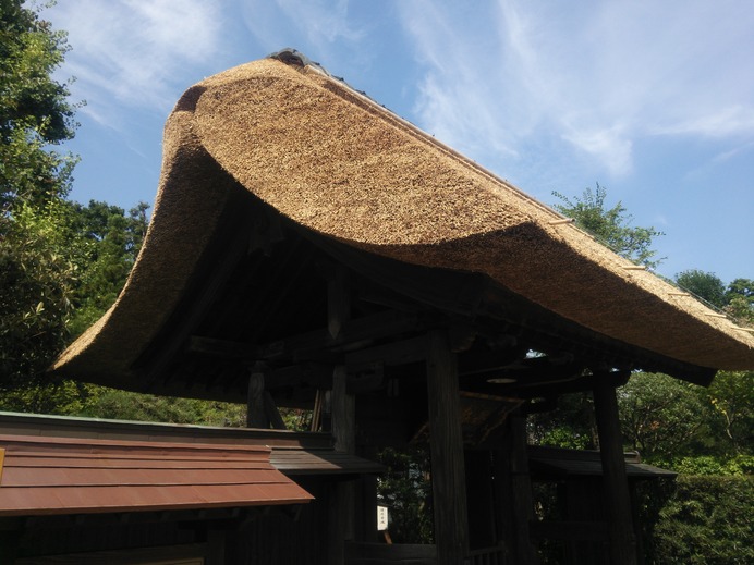 自宅のある鎌倉は裏山に入れば丸一日山の中を歩けるくらいにトレールがある