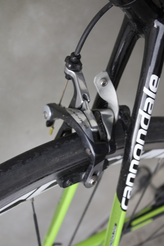 鹿屋体育大学自転車競技部の使用自転車に肉薄！