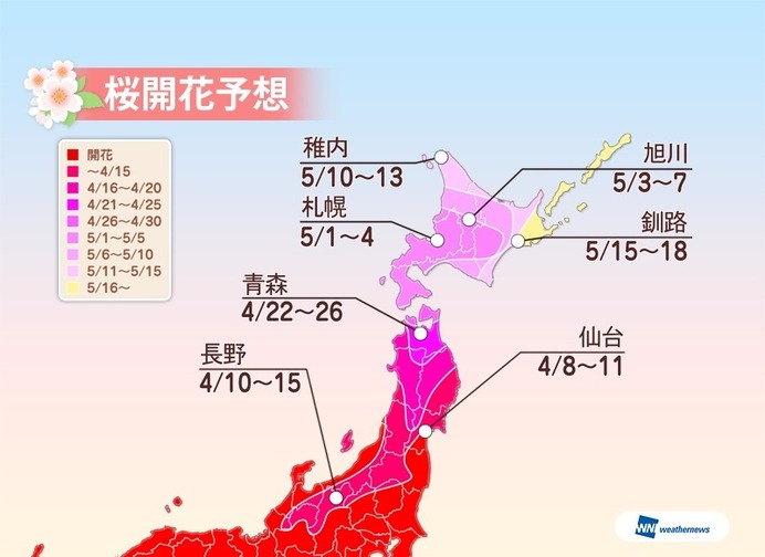 桜前線は東北へ！