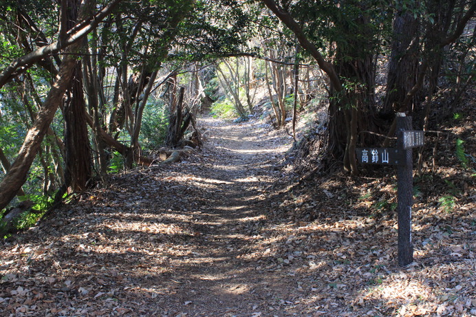 助川山から高鈴山へ。なだらなか道が続く。