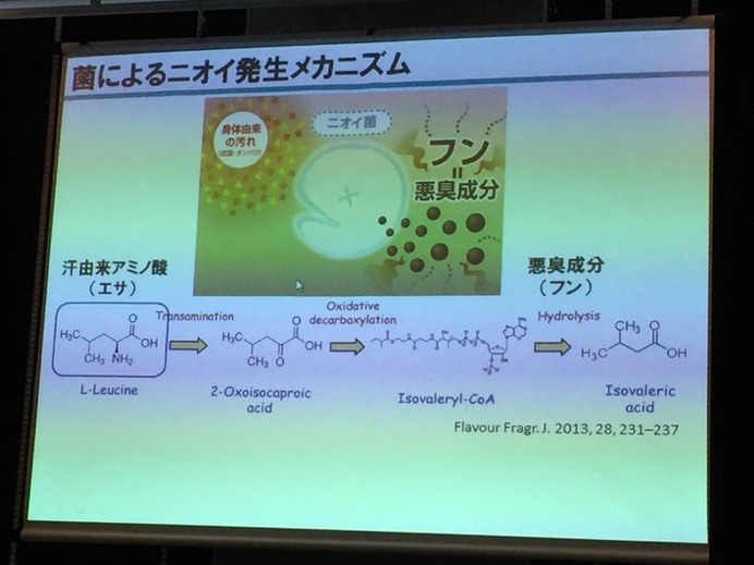 花王が消臭剤に関するセミナー