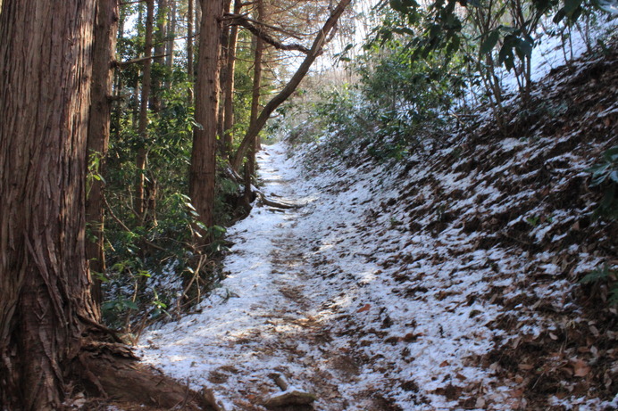 登山道2。だんだんと雪が増えていき…。