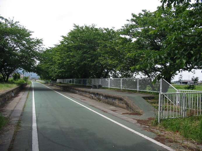 樺穂駅のホーム跡。桜の季節には花見が楽しめる（つくばりんりんロード）