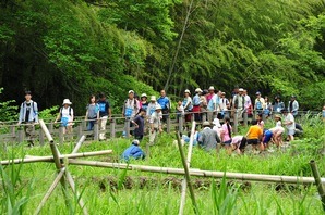 参加費全額がユニセフ募金のウォーキングイベント「ユニセフ・ラブウォーク in かわさき」