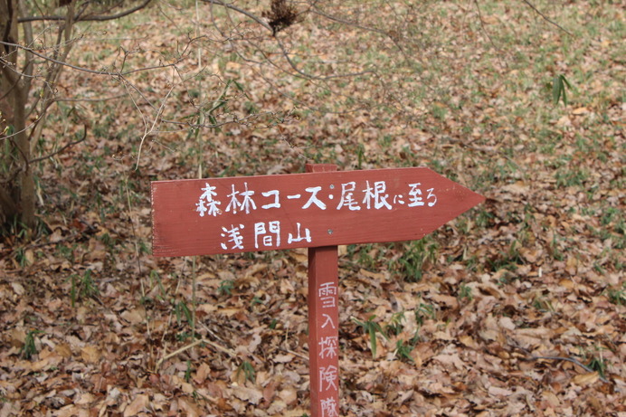 三石森林公園内には、浅間山に続く道しるべがあちこちに。