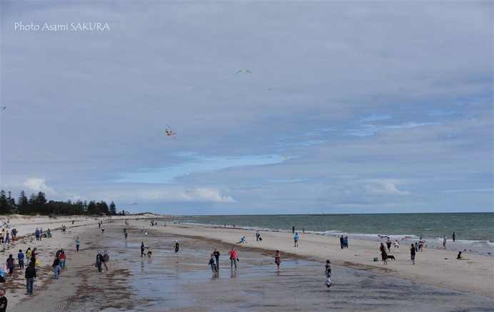 Kiteフェスティバル