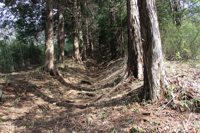 写真ではわかりにくいが、なかなか厳しい登りだ。写真左には少々ゆるやかな道もあるので、自信のない方はそちらを。