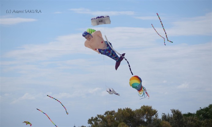 Kite internationa festival