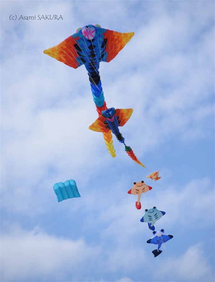 Kite internationa festival