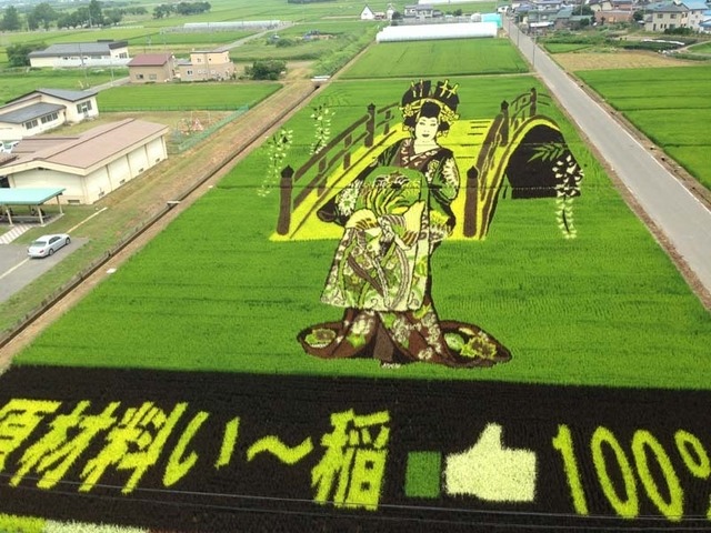 青森県田舎館村の名物「田んぼアート」。今年は『スター・ウォーズ／フォースの覚醒』がテーマとなる（写真は2014年時のもの）