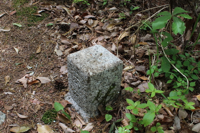 261m地点の三角点。ここまで歩いて、見晴台を通り過ぎたことにようやく気付く。