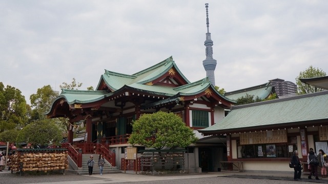 2014年4月撮影：亀戸天神からみたスカイツリー