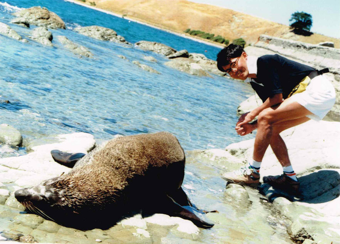 東海岸に面した港町、カイコウラではオットセイに遭遇。こわごわ近づいている25年前の僕