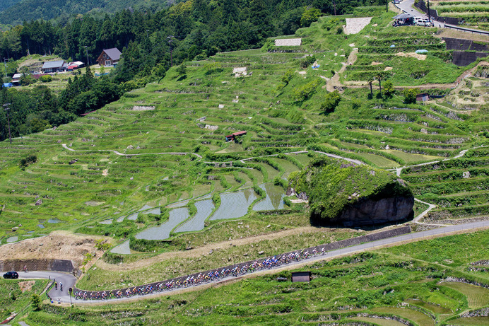 第2ステージ、2回のKOMが設定される丸山千枚田