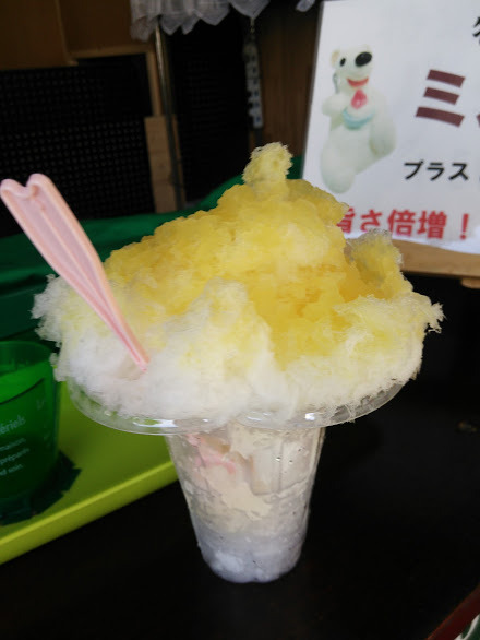 【南日本グルメライド】3度のパンクを乗り越えて、かき氷をいただく
