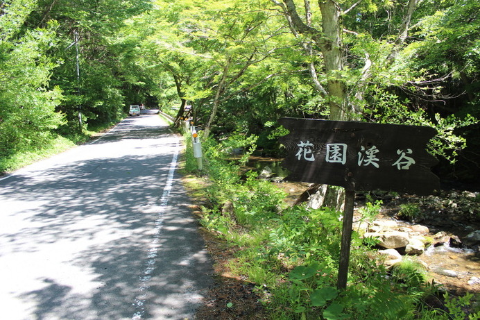 花園オートキャンプ場付近の分岐を右に折れると、花園渓谷沿いの道をドライブすることができる。